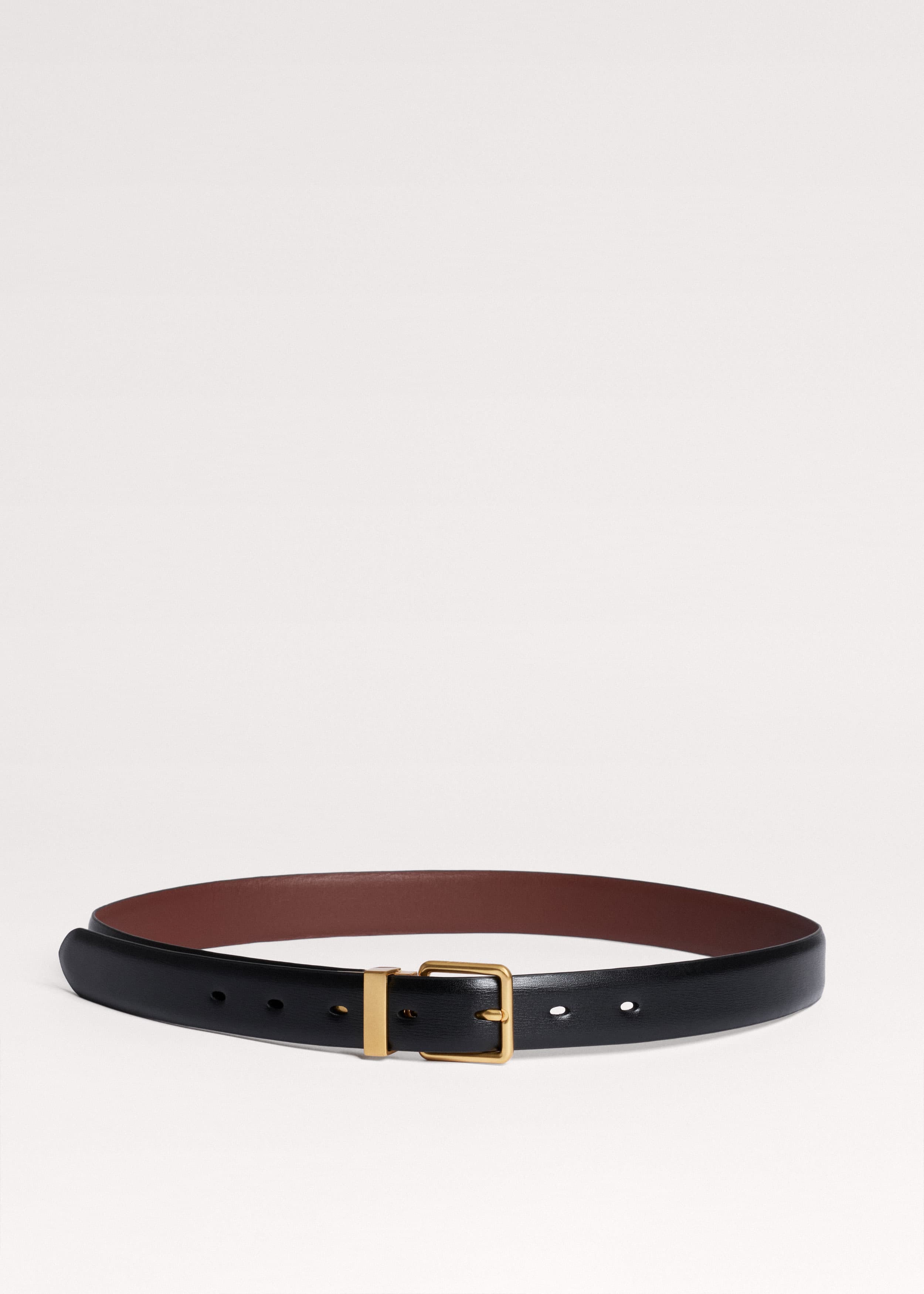 Reversible Belt