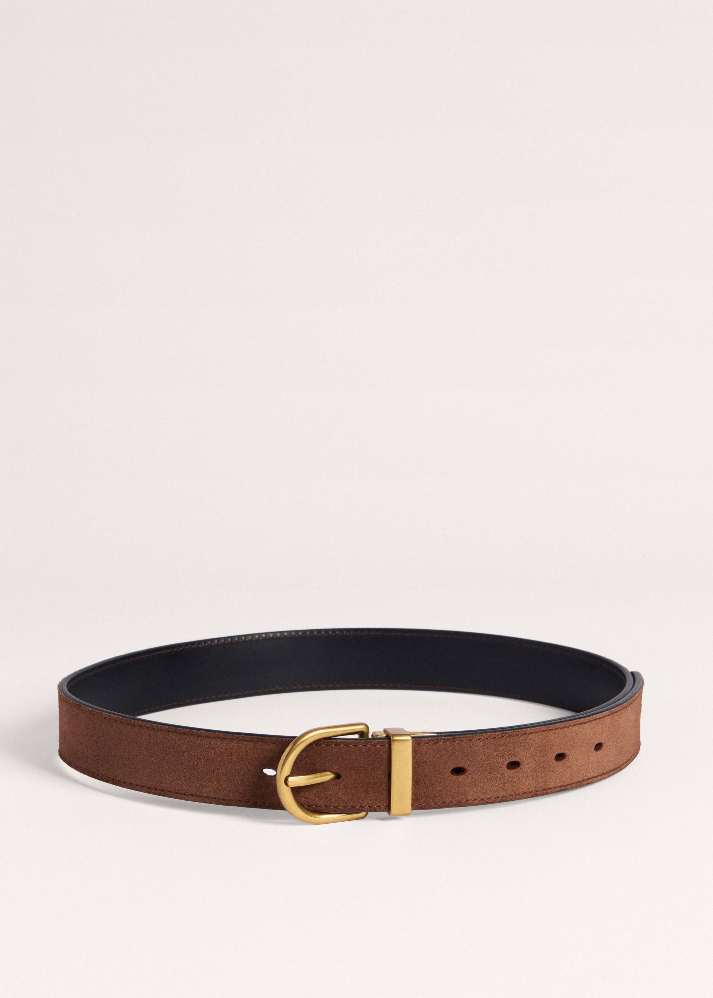Reversible Belt