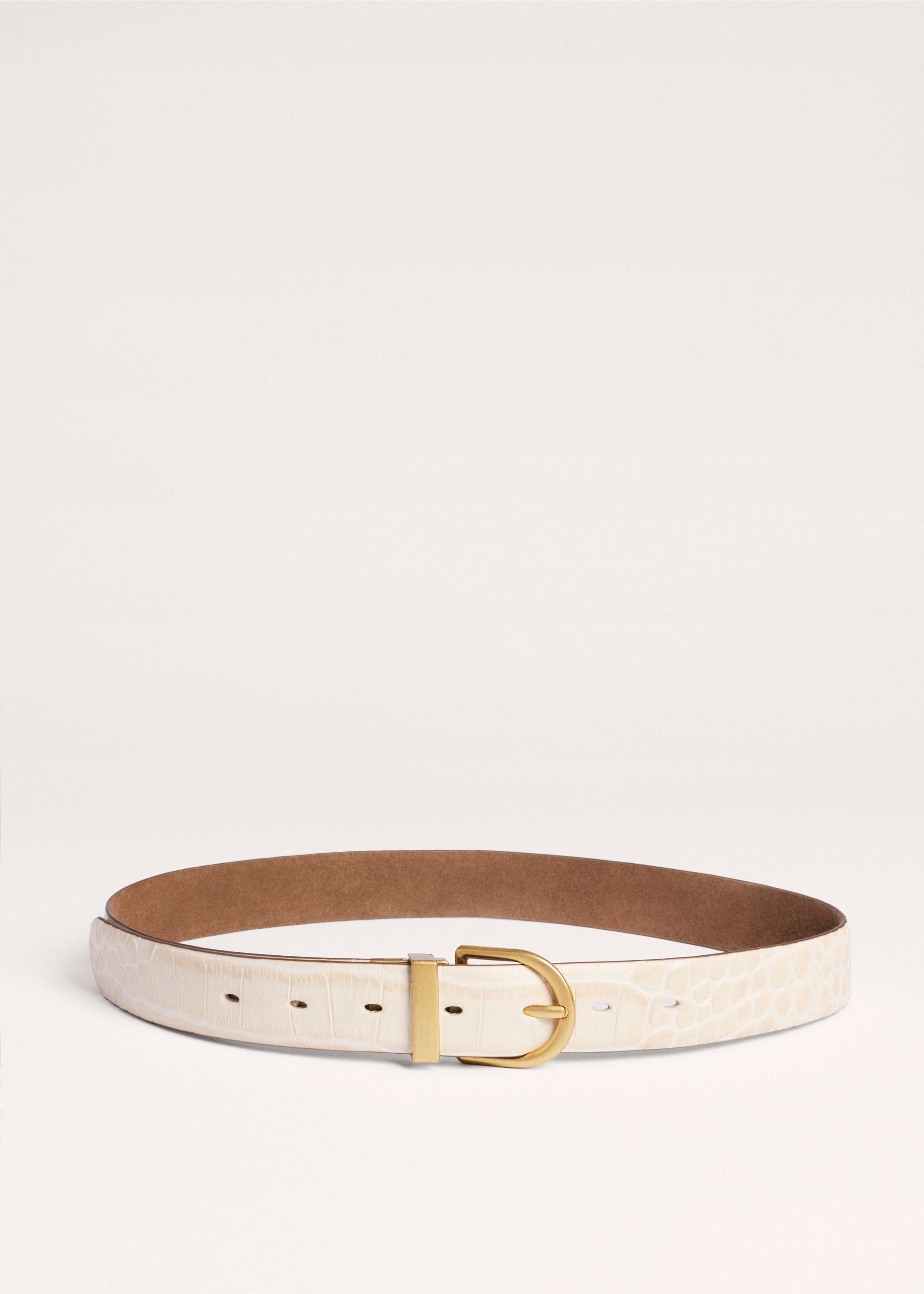 Reversible Belt