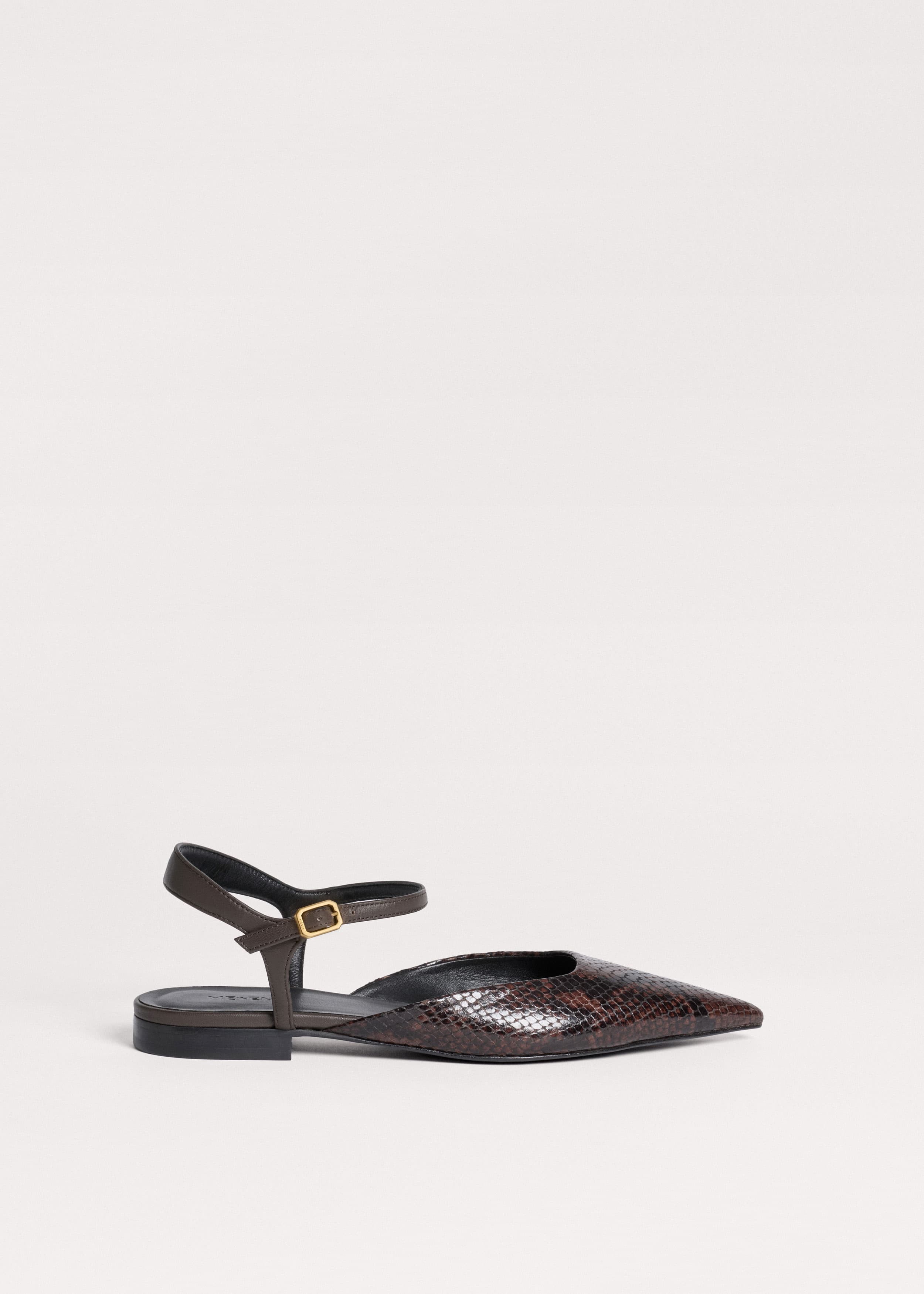 Point Toe Flat
