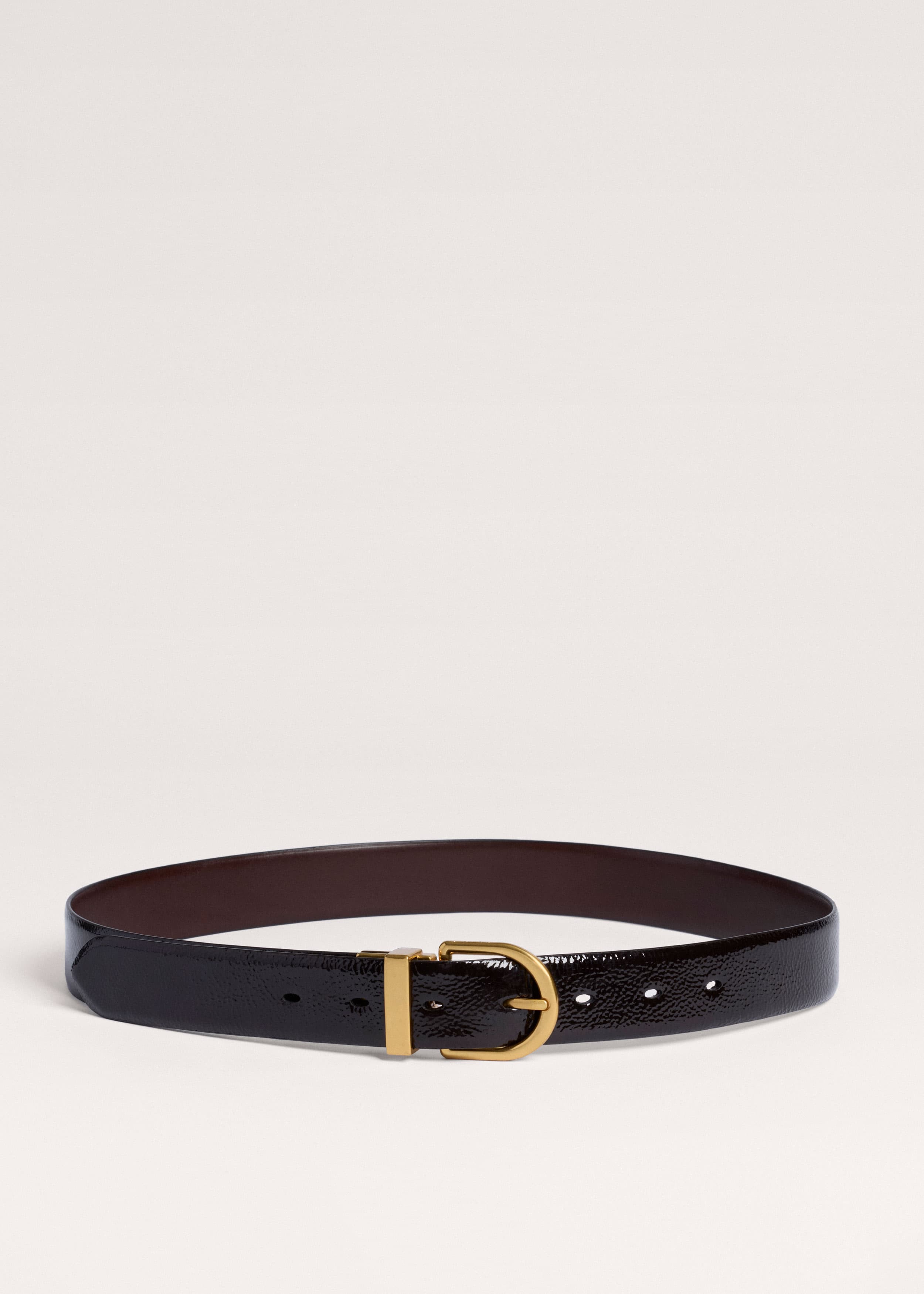 Reversible Belt