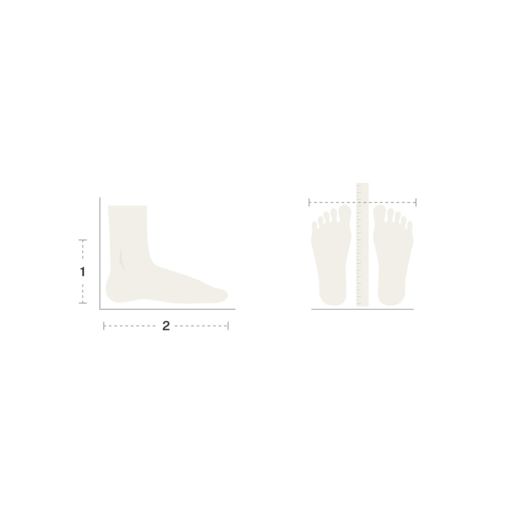 Graphic of foot from a side and a view from two feet below with numbered sections of how to measure
