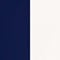 Navy/White